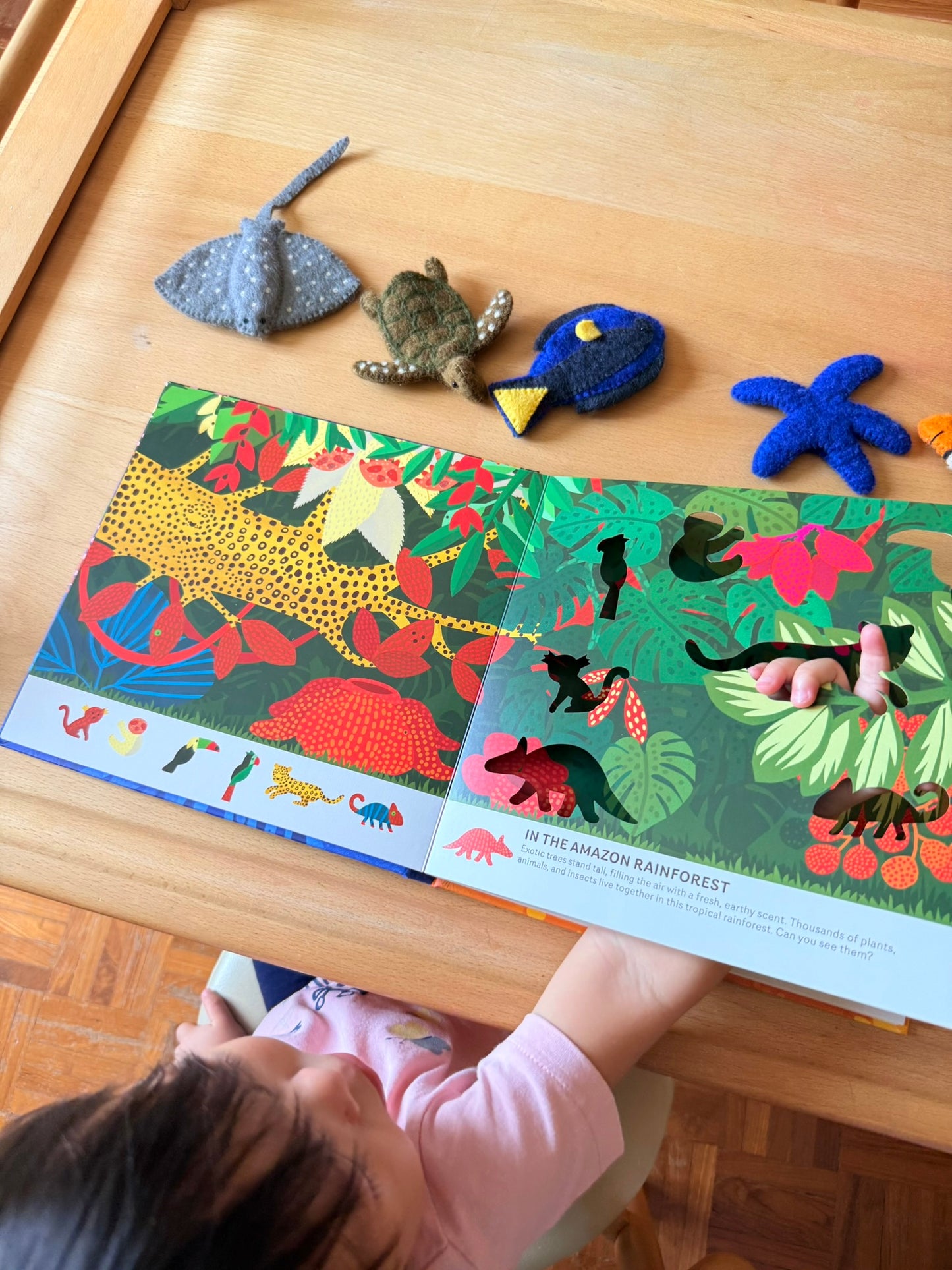 Oh! The Animals 絶美鏤空藝術繪本