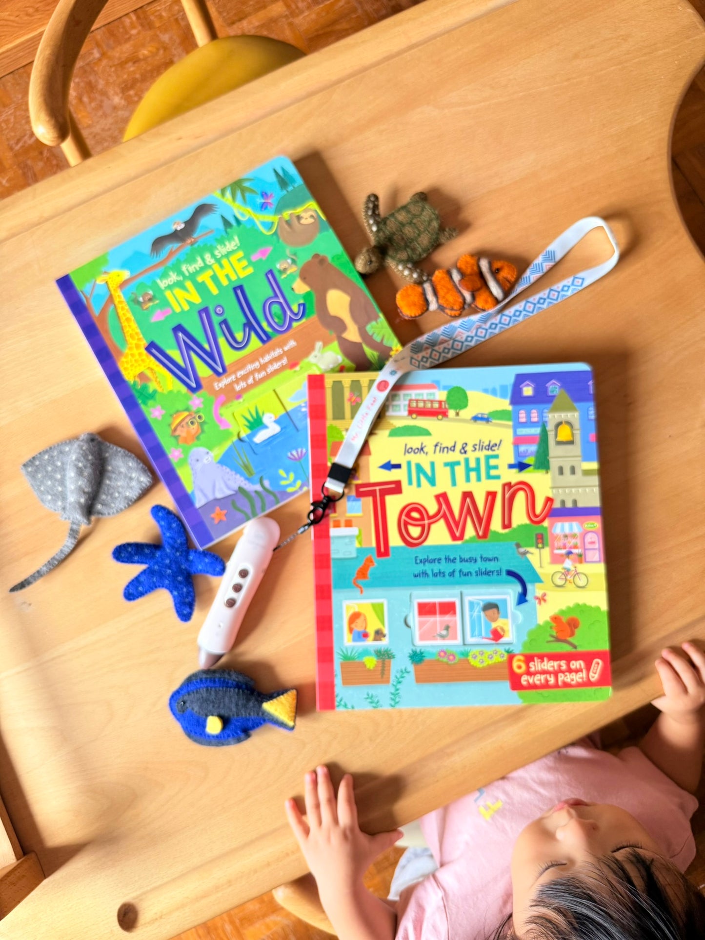 Look, find & slide! 躲貓貓滑塊遊戲書