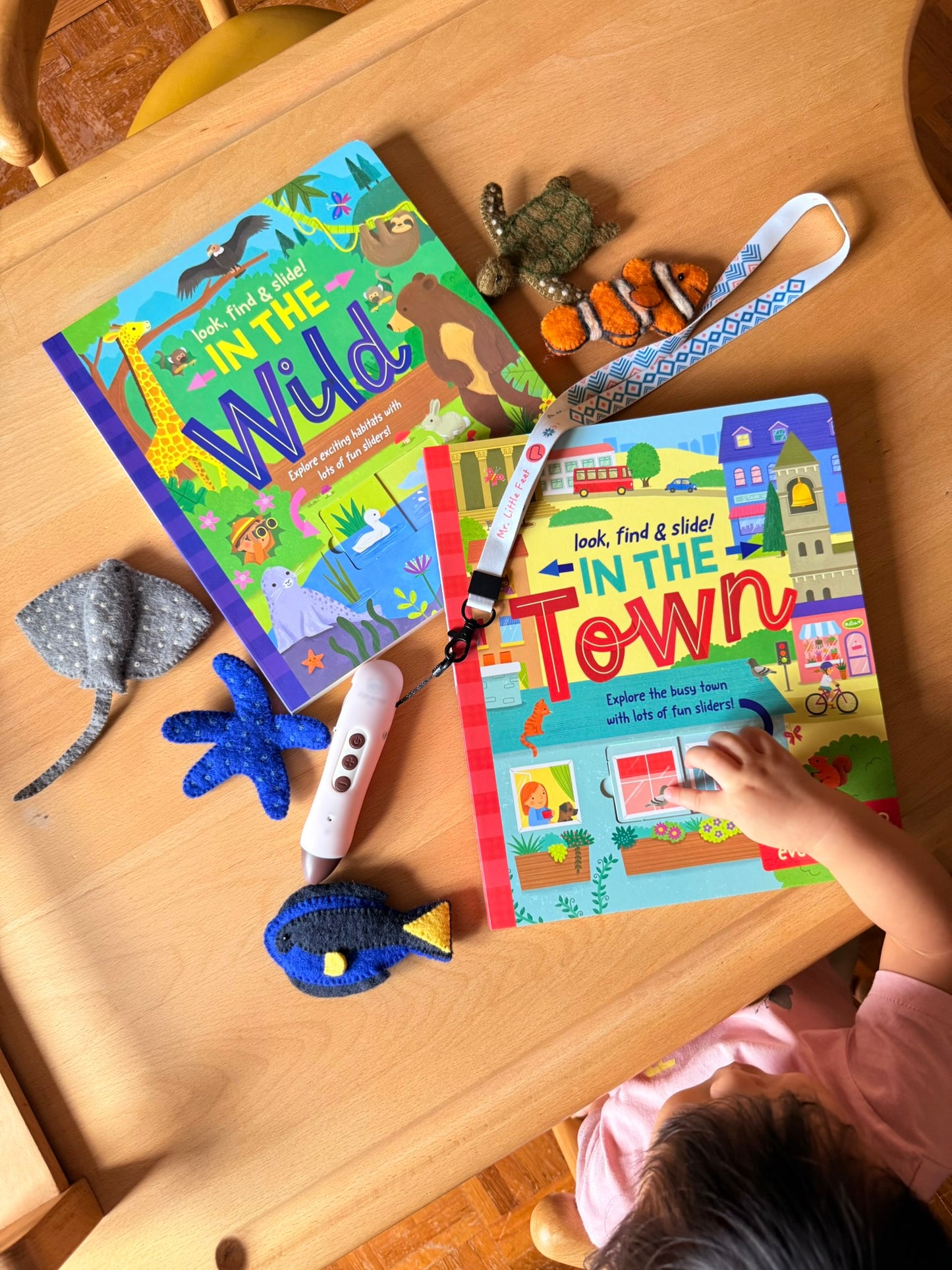 Look, find & slide! 躲貓貓滑塊遊戲書