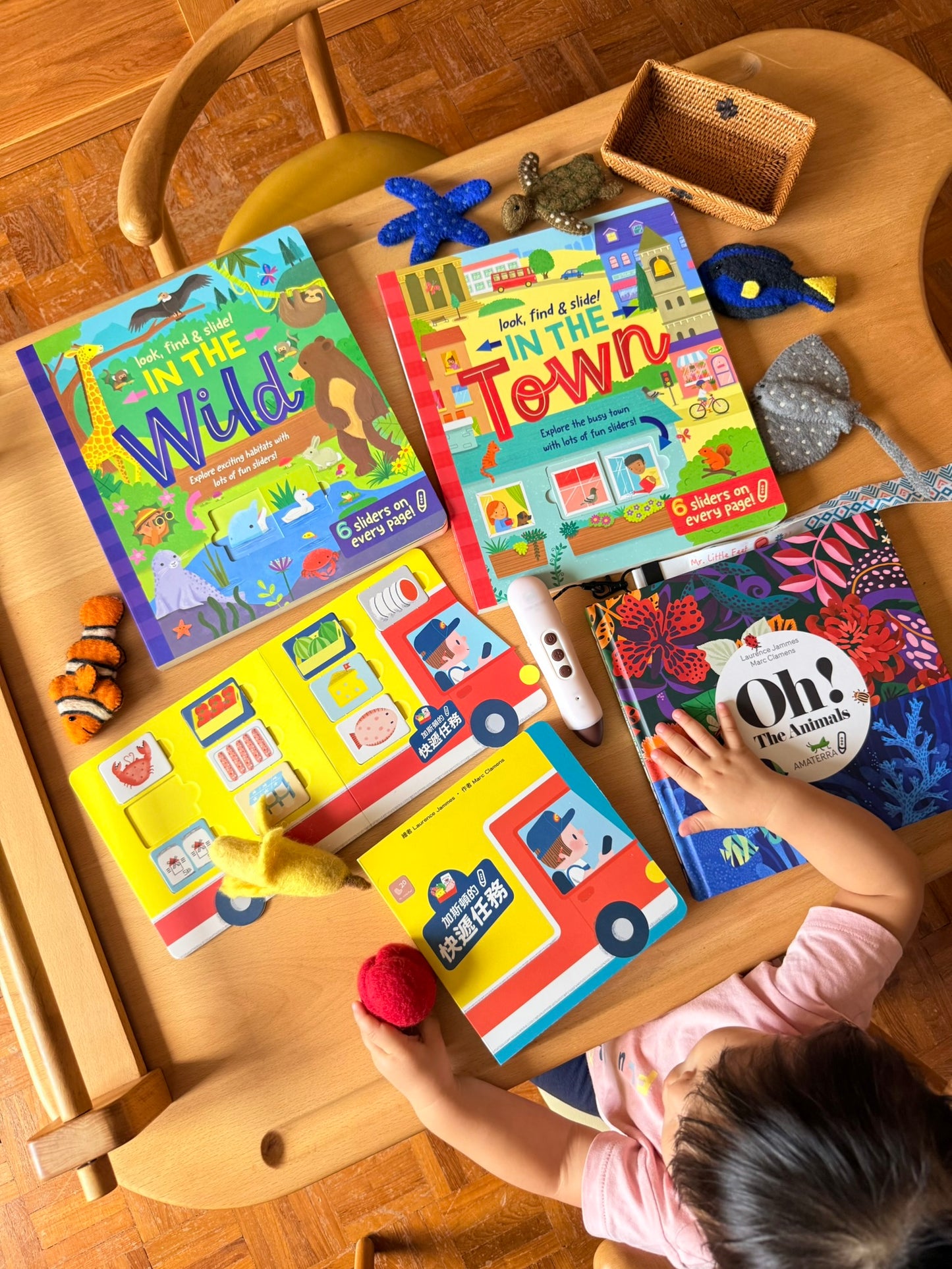 Look, find & slide! 躲貓貓滑塊遊戲書