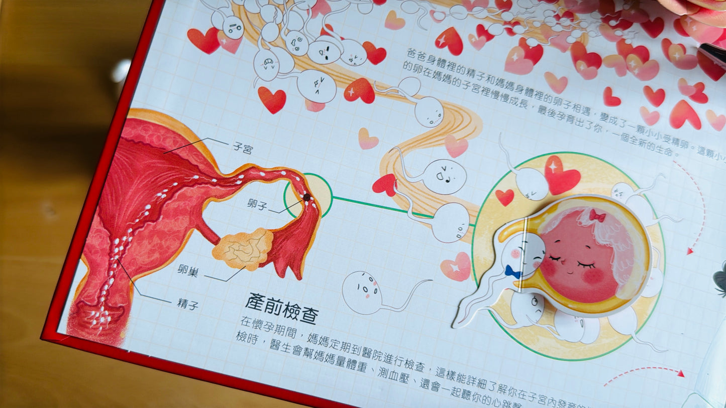 (限量送公仔) 我和我的身體 互動立體翻翻書【小腳先生獨家送廣東話點讀貼紙#19】