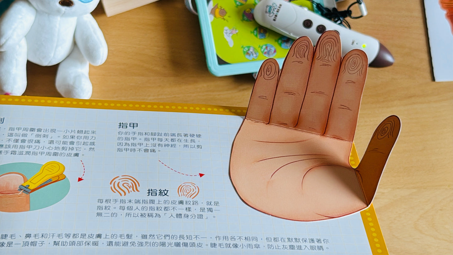 (限量送公仔) 我和我的身體 互動立體翻翻書【小腳先生獨家送廣東話點讀貼紙#19】