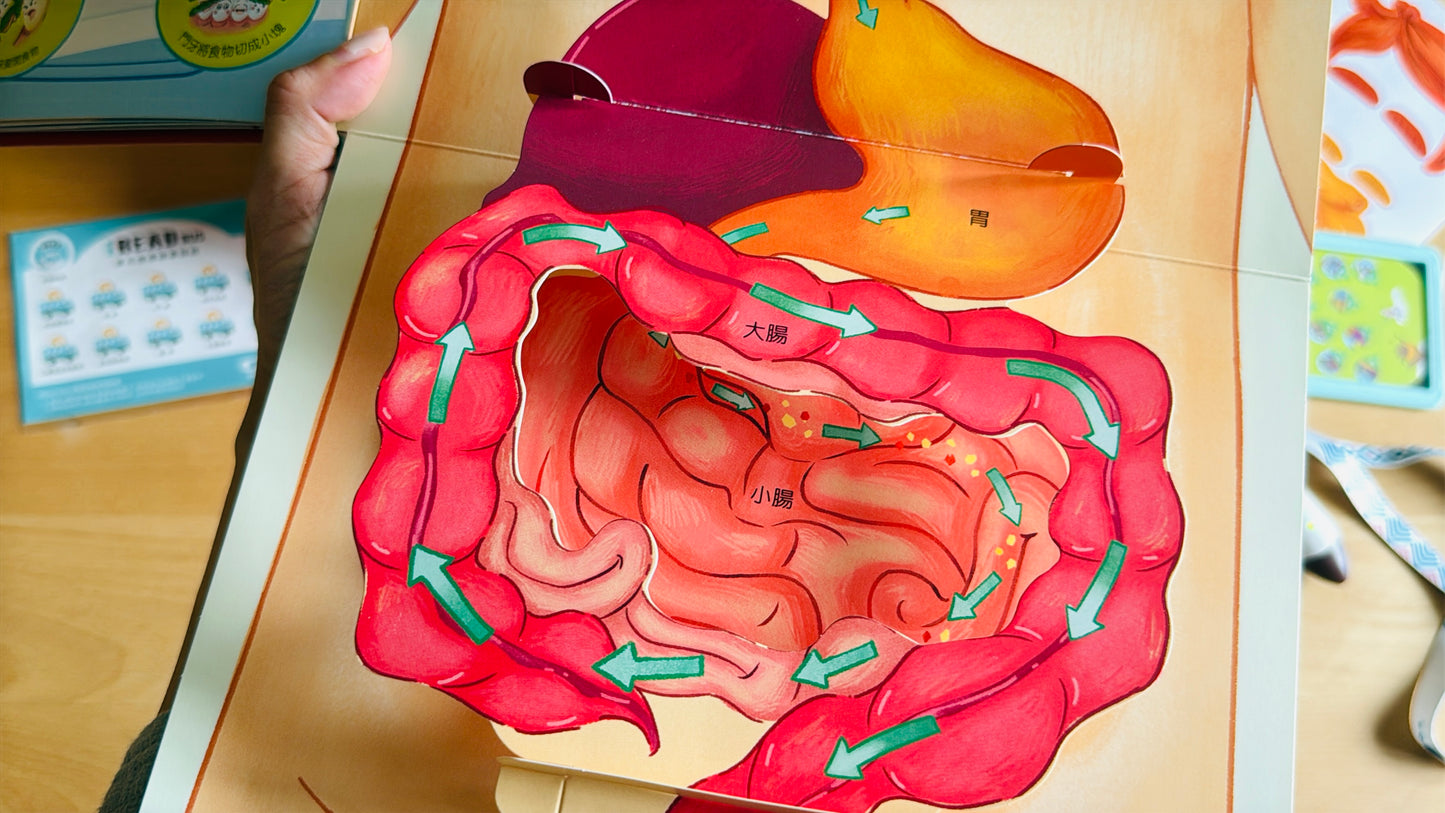 (限量送公仔) 我和我的身體 互動立體翻翻書【小腳先生獨家送廣東話點讀貼紙#19】