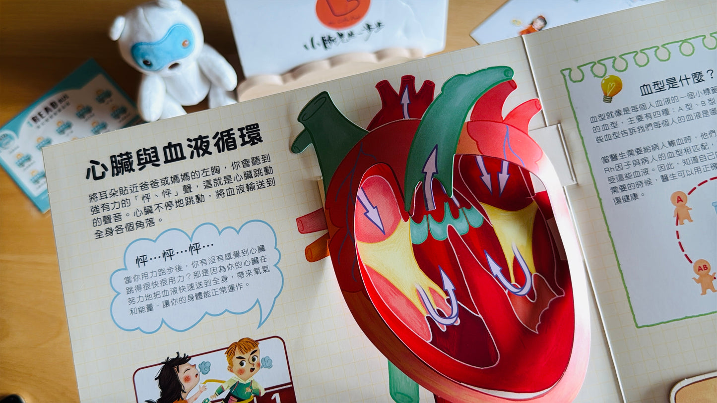 (限量送公仔) 我和我的身體 互動立體翻翻書【小腳先生獨家送廣東話點讀貼紙#19】