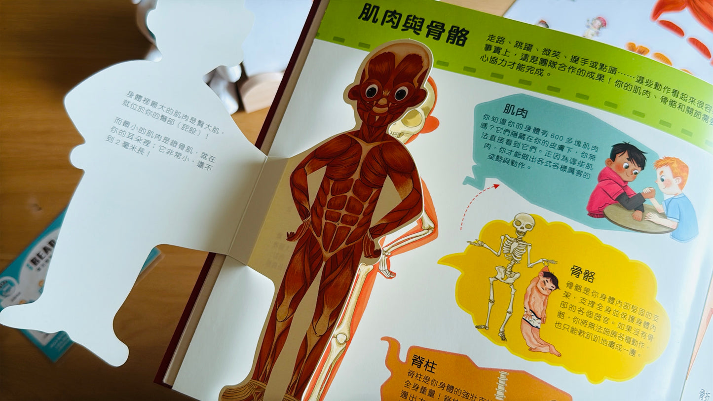 (限量送公仔) 我和我的身體 互動立體翻翻書【小腳先生獨家送廣東話點讀貼紙#19】