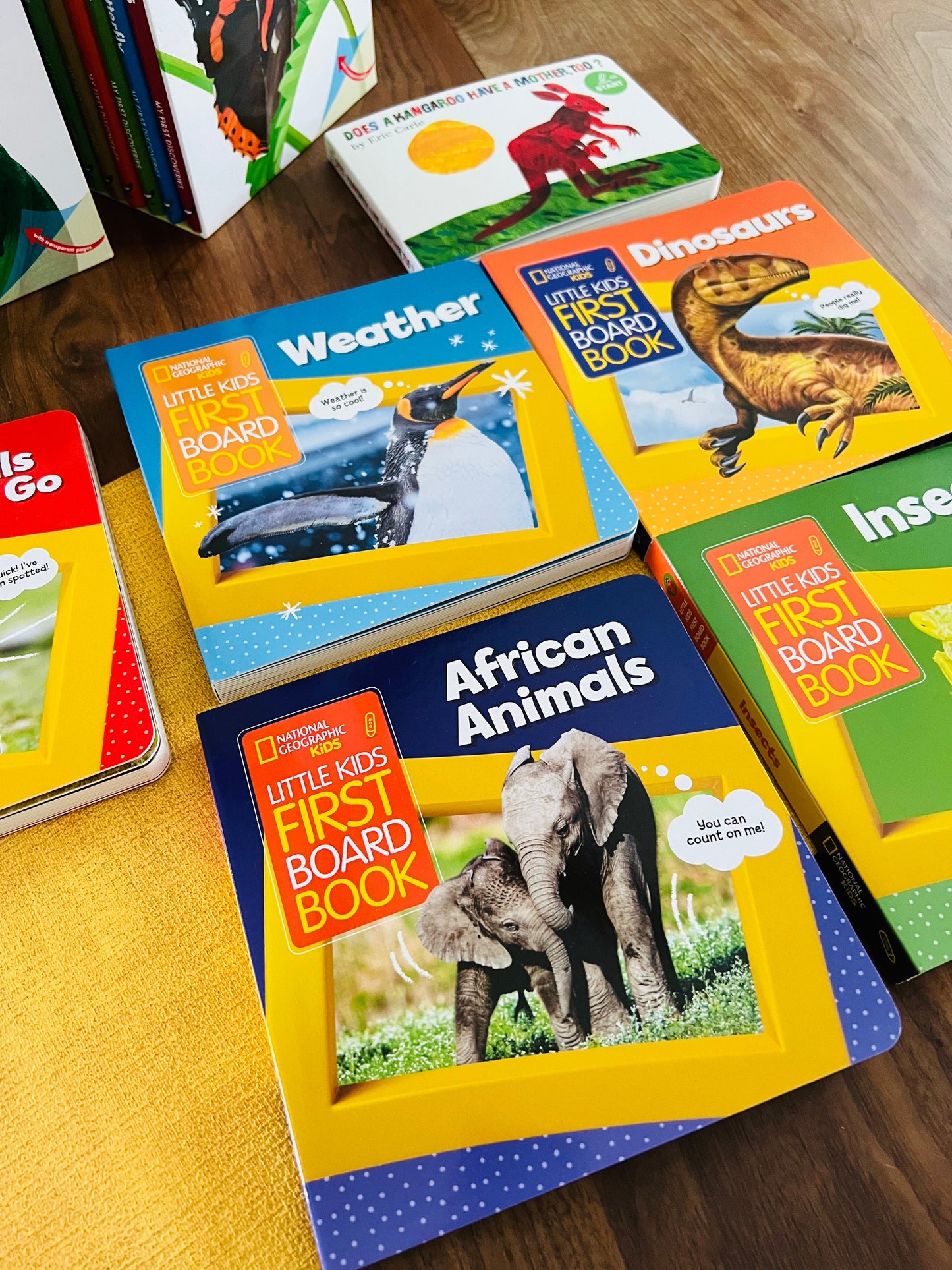 National Geographic Kids 兒童科普硬頁書 第2輯 (Dinosaurs / Weather / Animals On the Go / Insect / African Animals)
