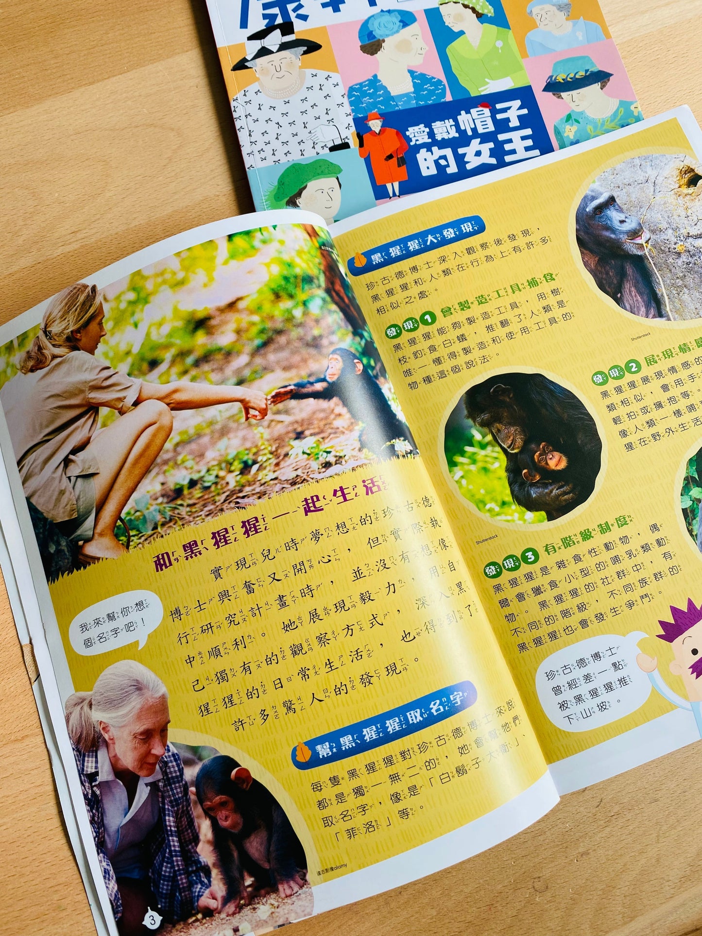 康軒學習雜誌 - 半年訂閱優惠 初階版