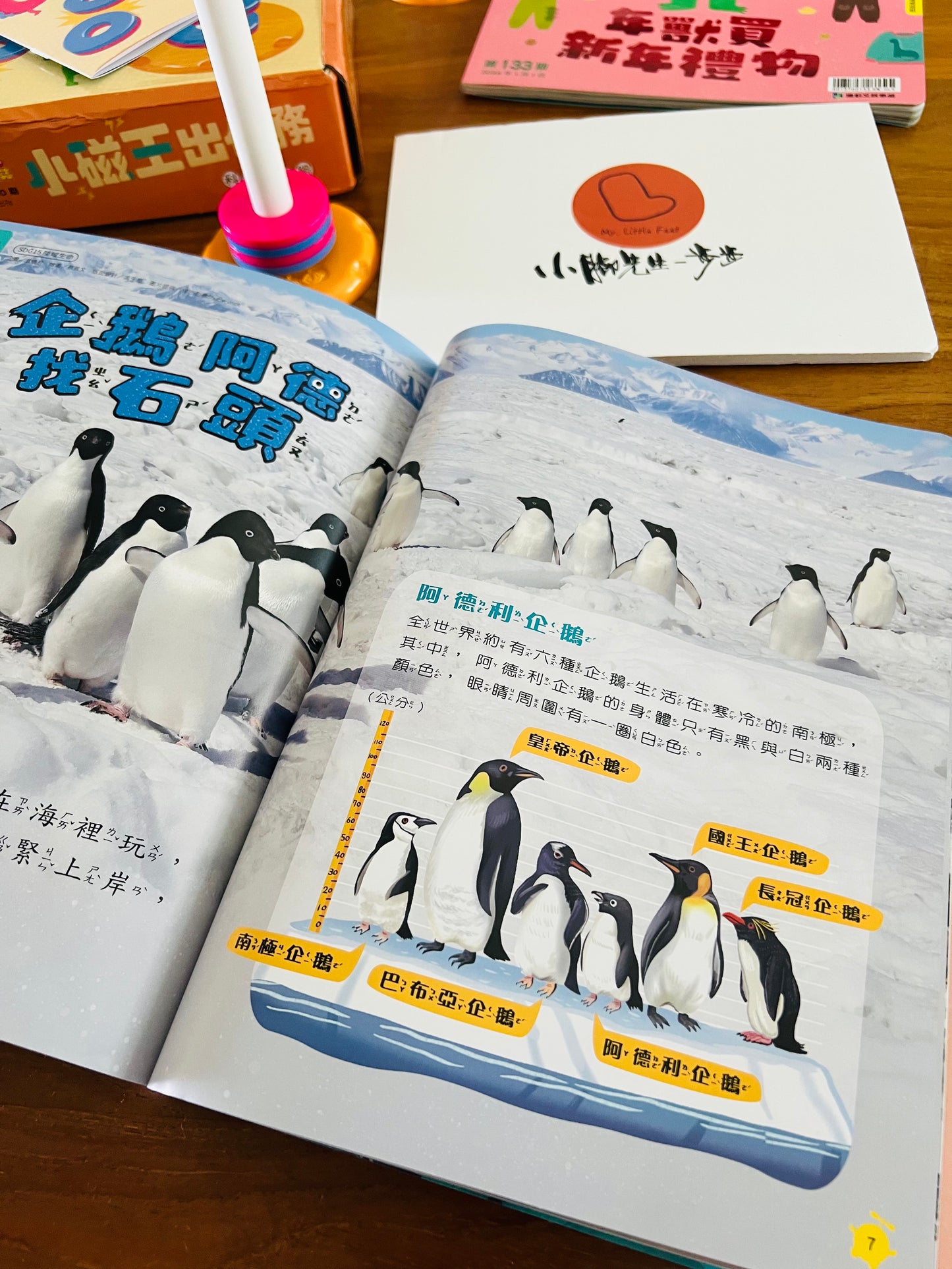 康軒學習雜誌 - 學前版  (2024年11月優惠團)