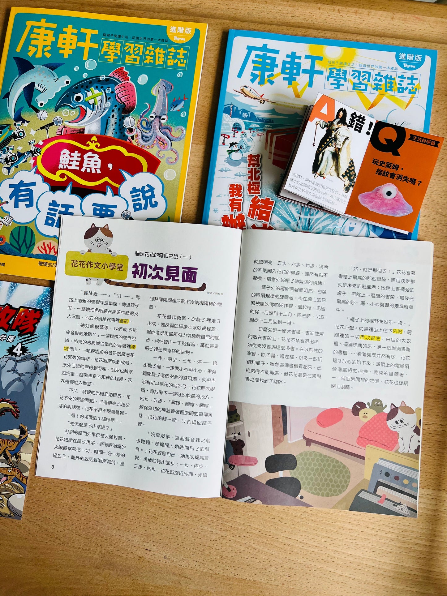 康軒學習雜誌 - 半年訂閱優惠 進階版