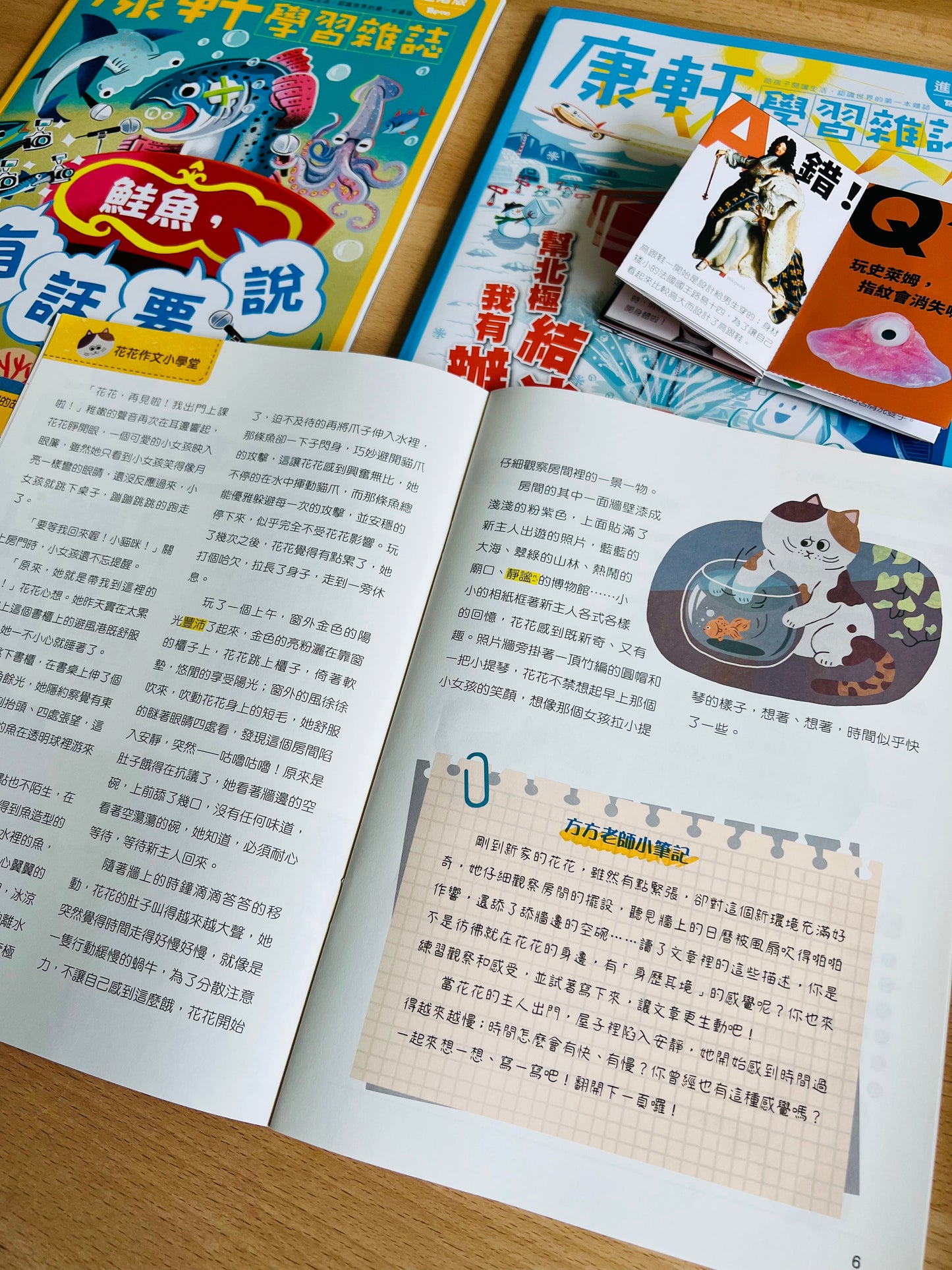 康軒學習雜誌 - 半年訂閱優惠 進階版