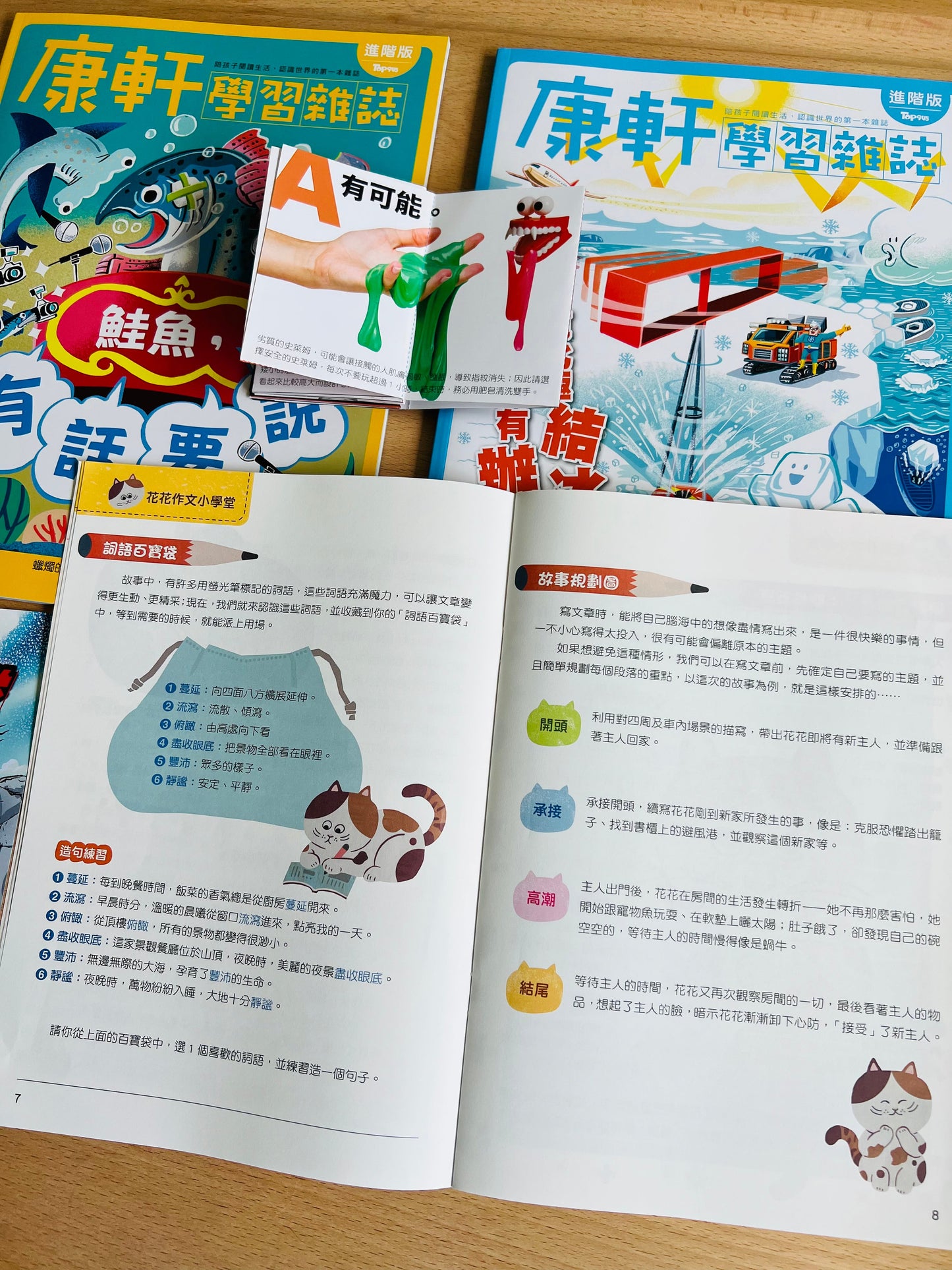 康軒學習雜誌 - 半年訂閱優惠 進階版