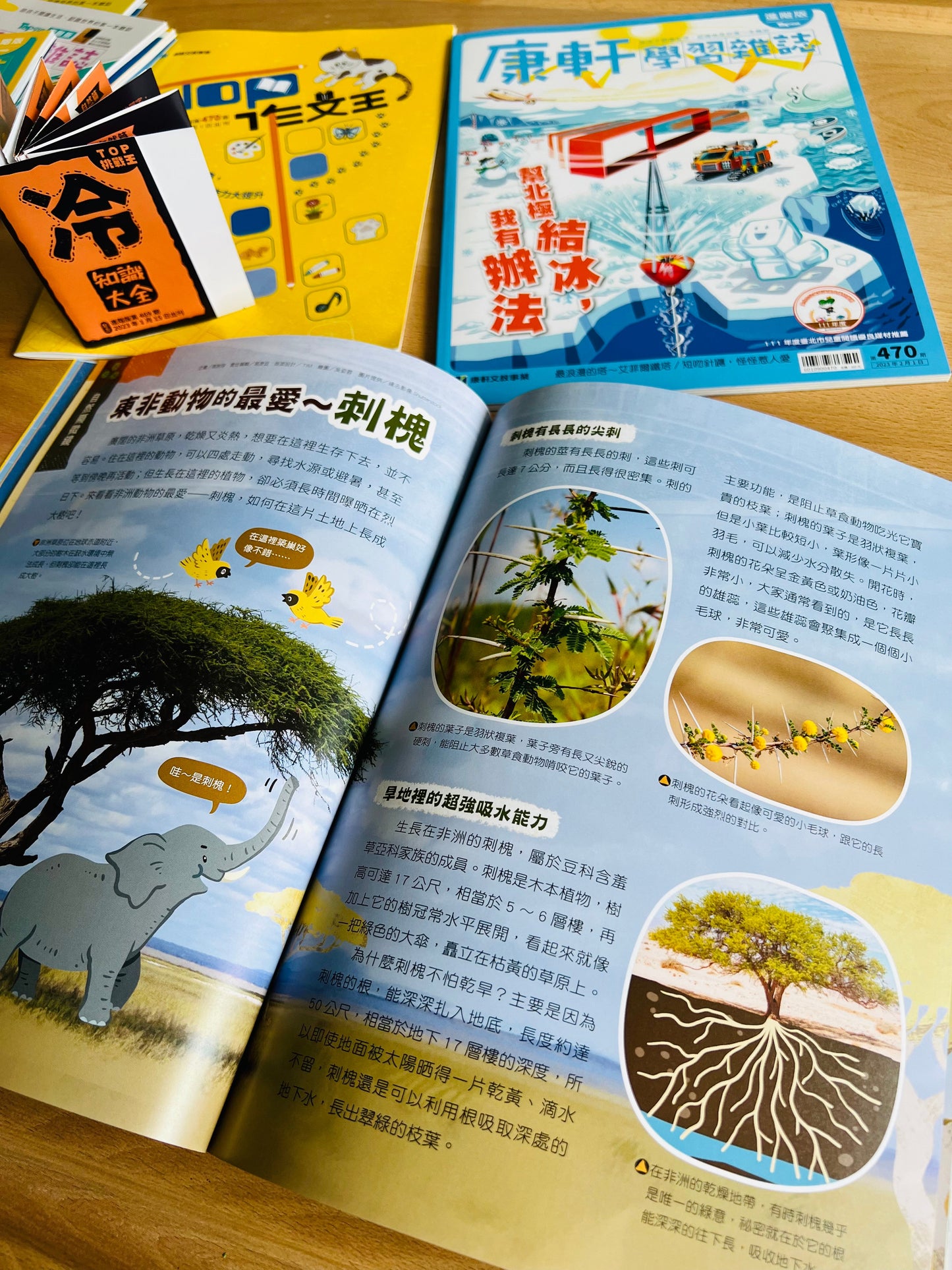 康軒學習雜誌 - 半年訂閱優惠 進階版