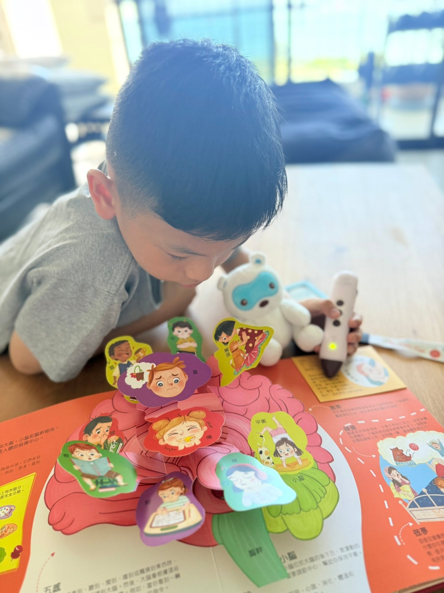 (限量送公仔) 我和我的身體 互動立體翻翻書【小腳先生獨家送廣東話點讀貼紙#19】