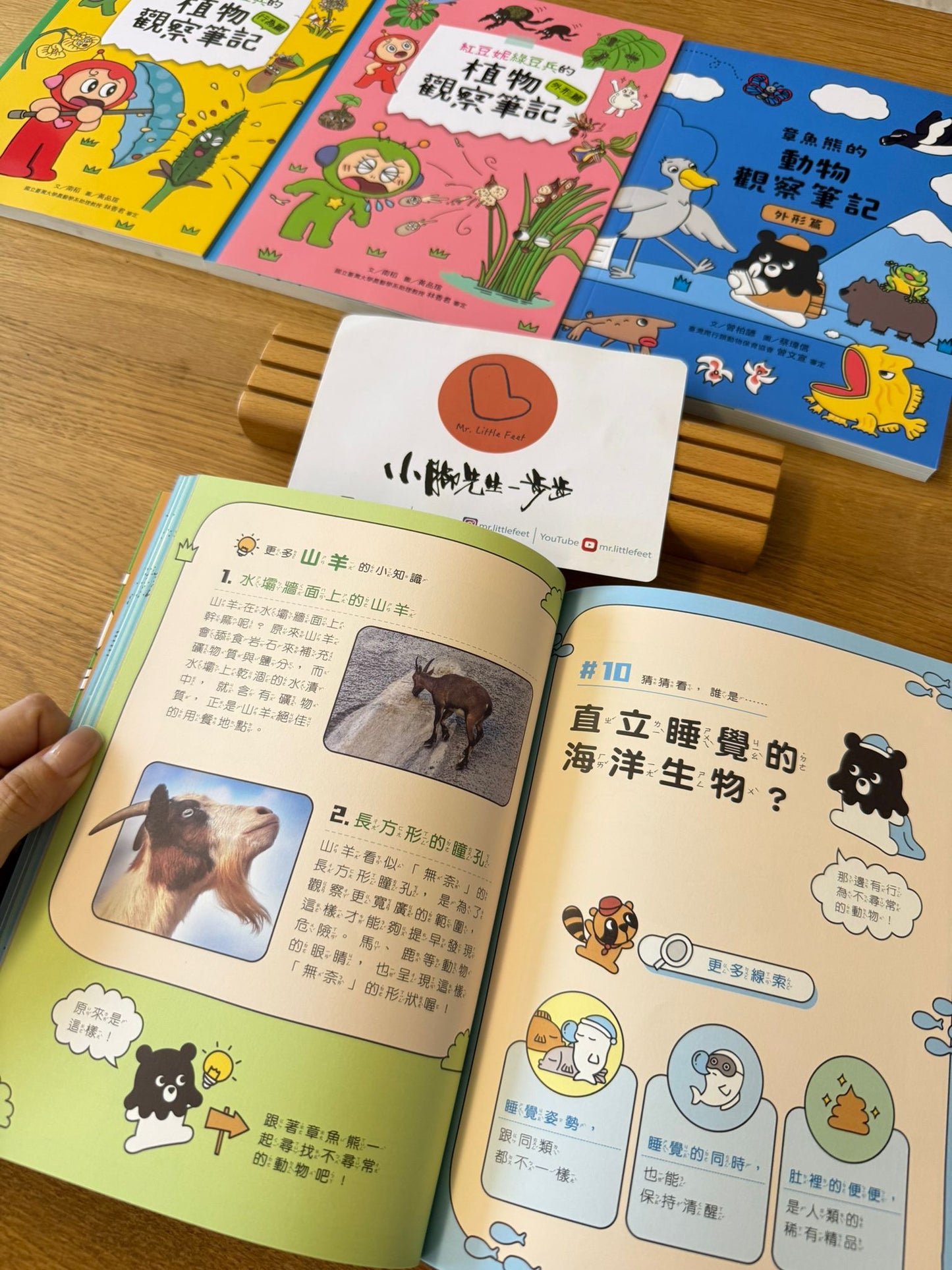 康軒學習雜誌 - 初階版 (2026年7月優惠團)