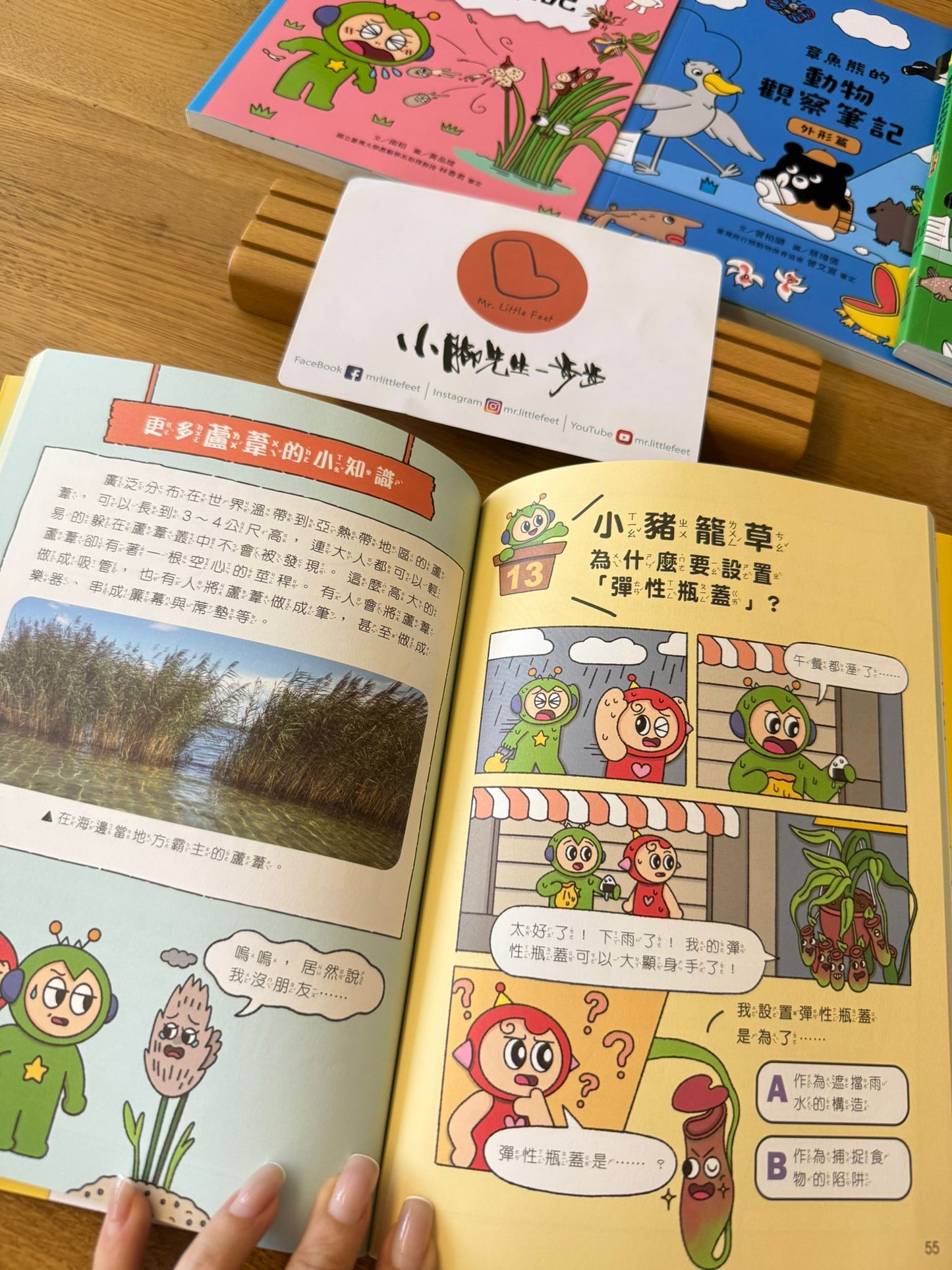 康軒學習雜誌 - 初階版 (2026年7月優惠團)