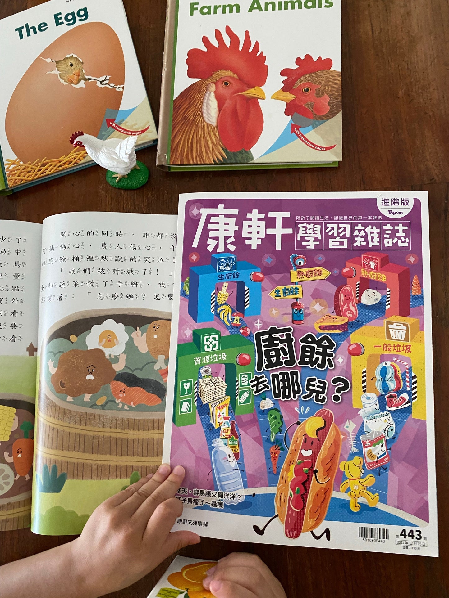 康軒學習雜誌 - 半年訂閱優惠 進階版