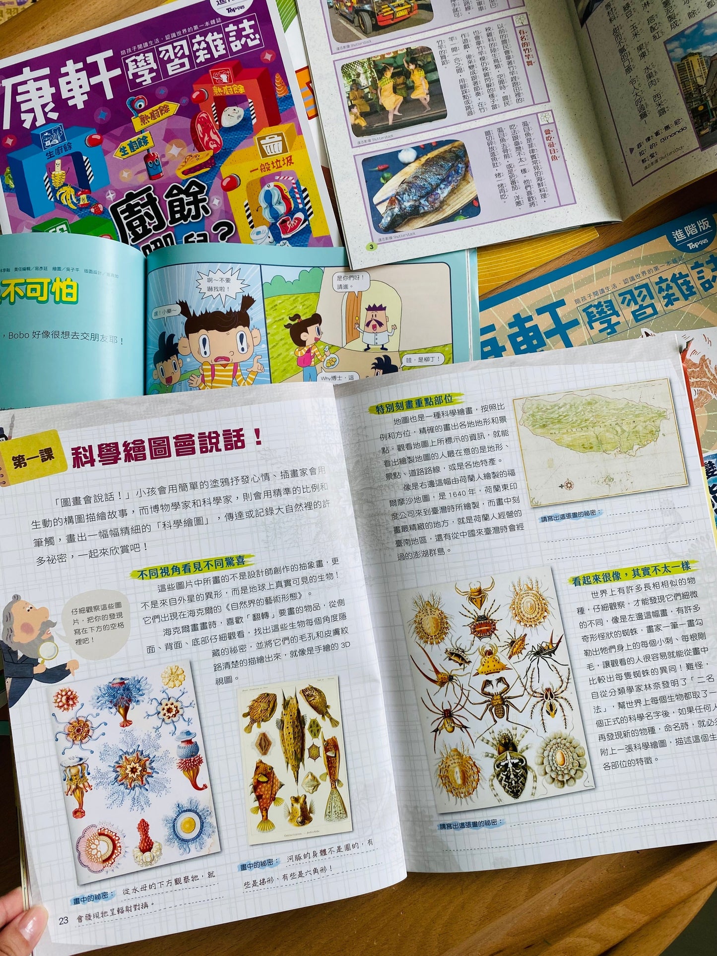 康軒學習雜誌 - 半年訂閱優惠 進階版