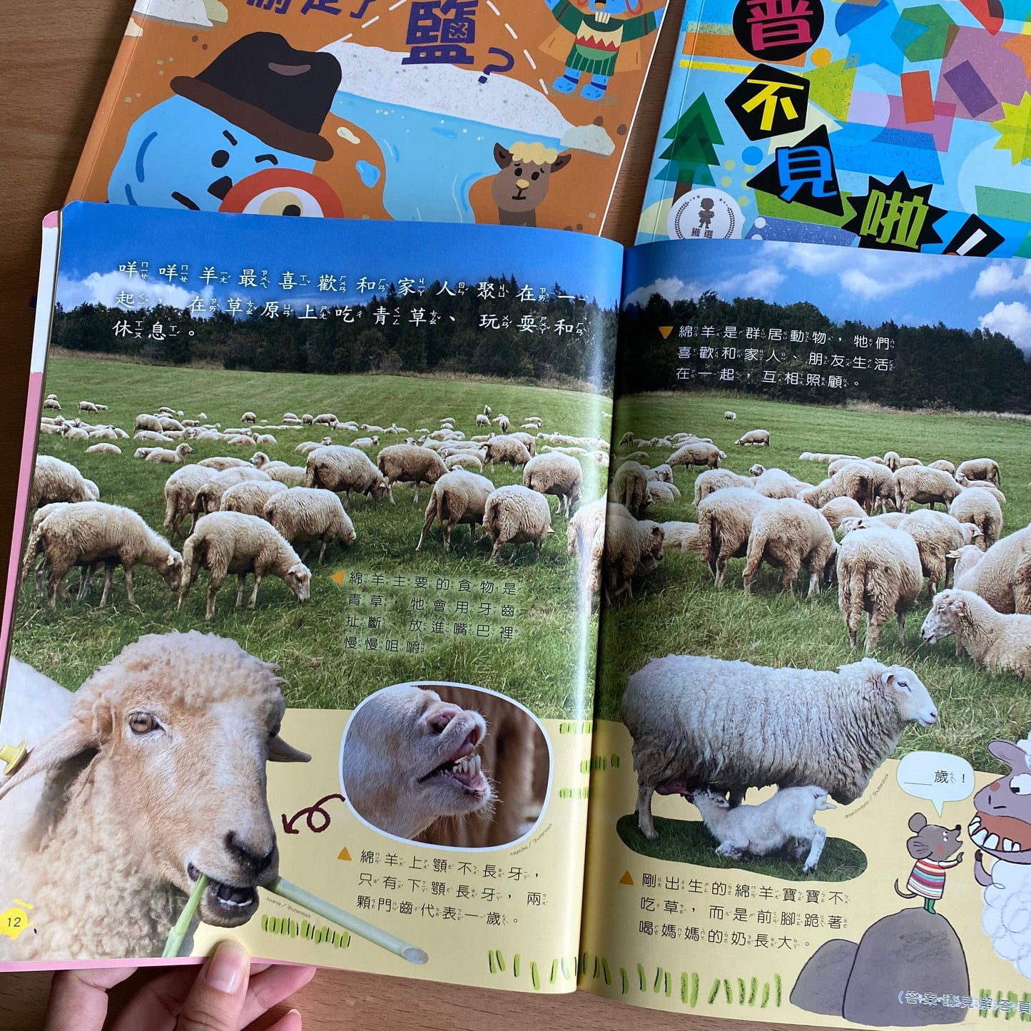 康軒學習雜誌 - 半年訂閱優惠 學前版