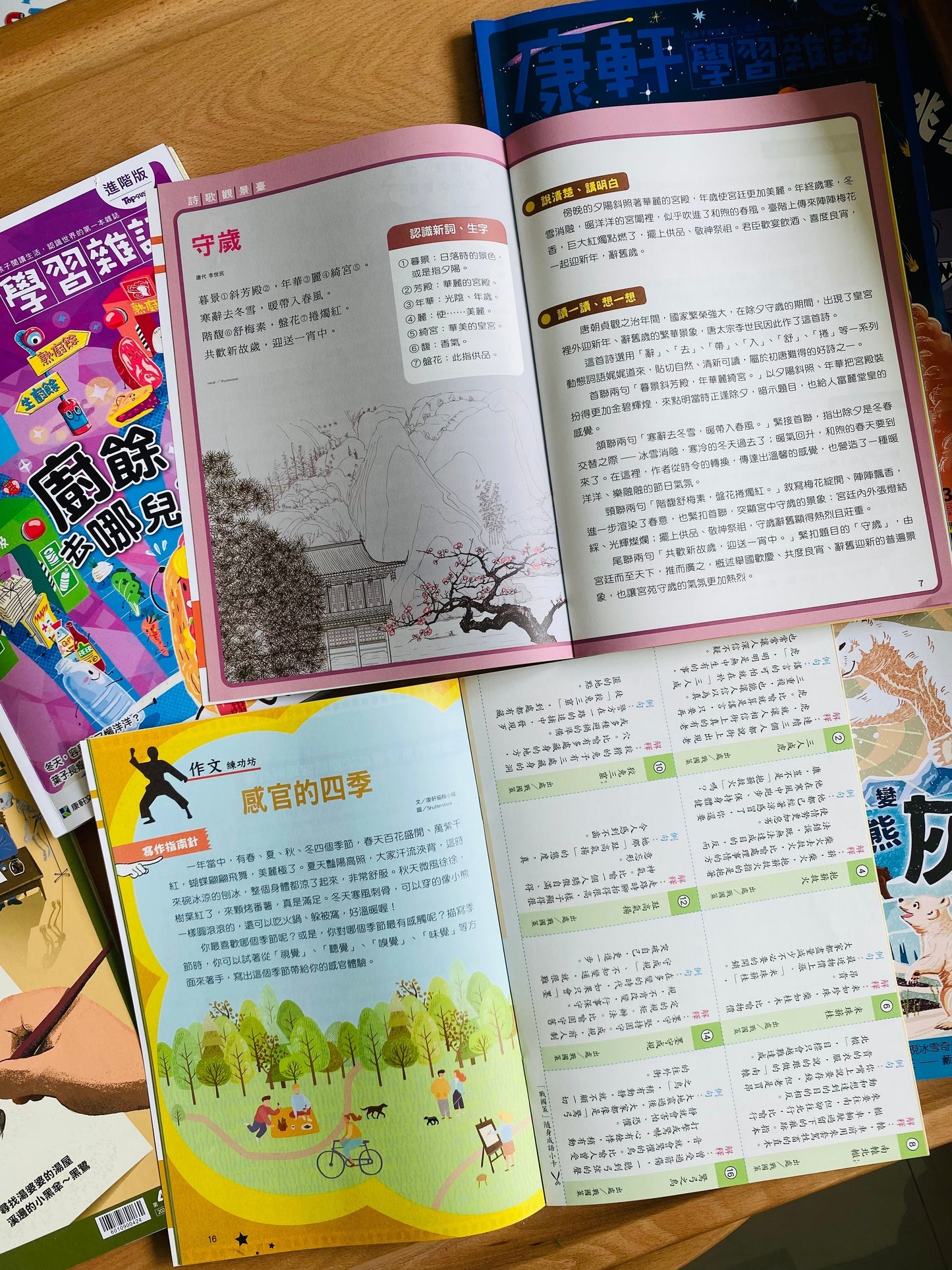 康軒學習雜誌 - 半年訂閱優惠 進階版