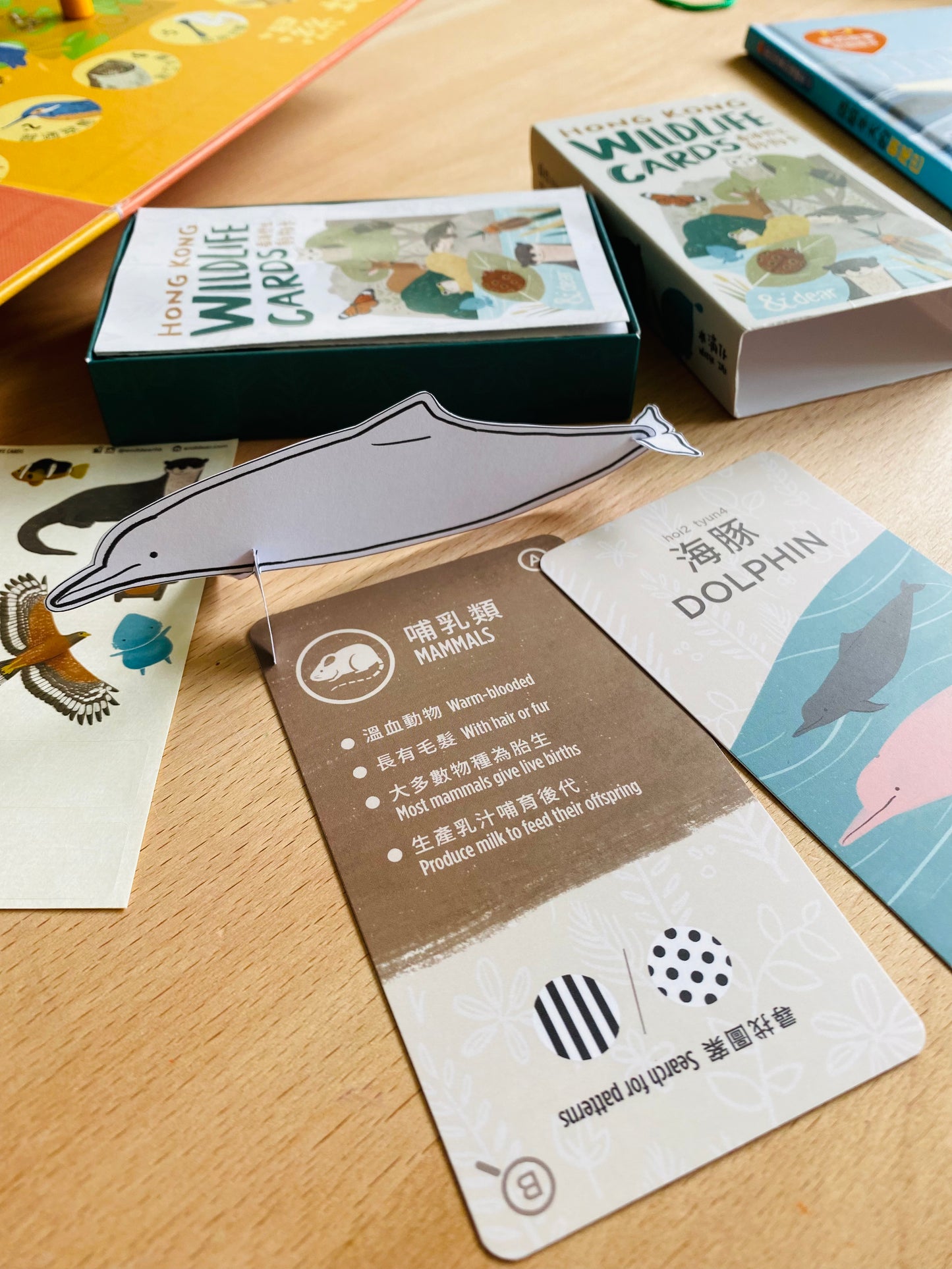 限量HK Wildlife 香港野生動物主題遊戲套組（中英對照）