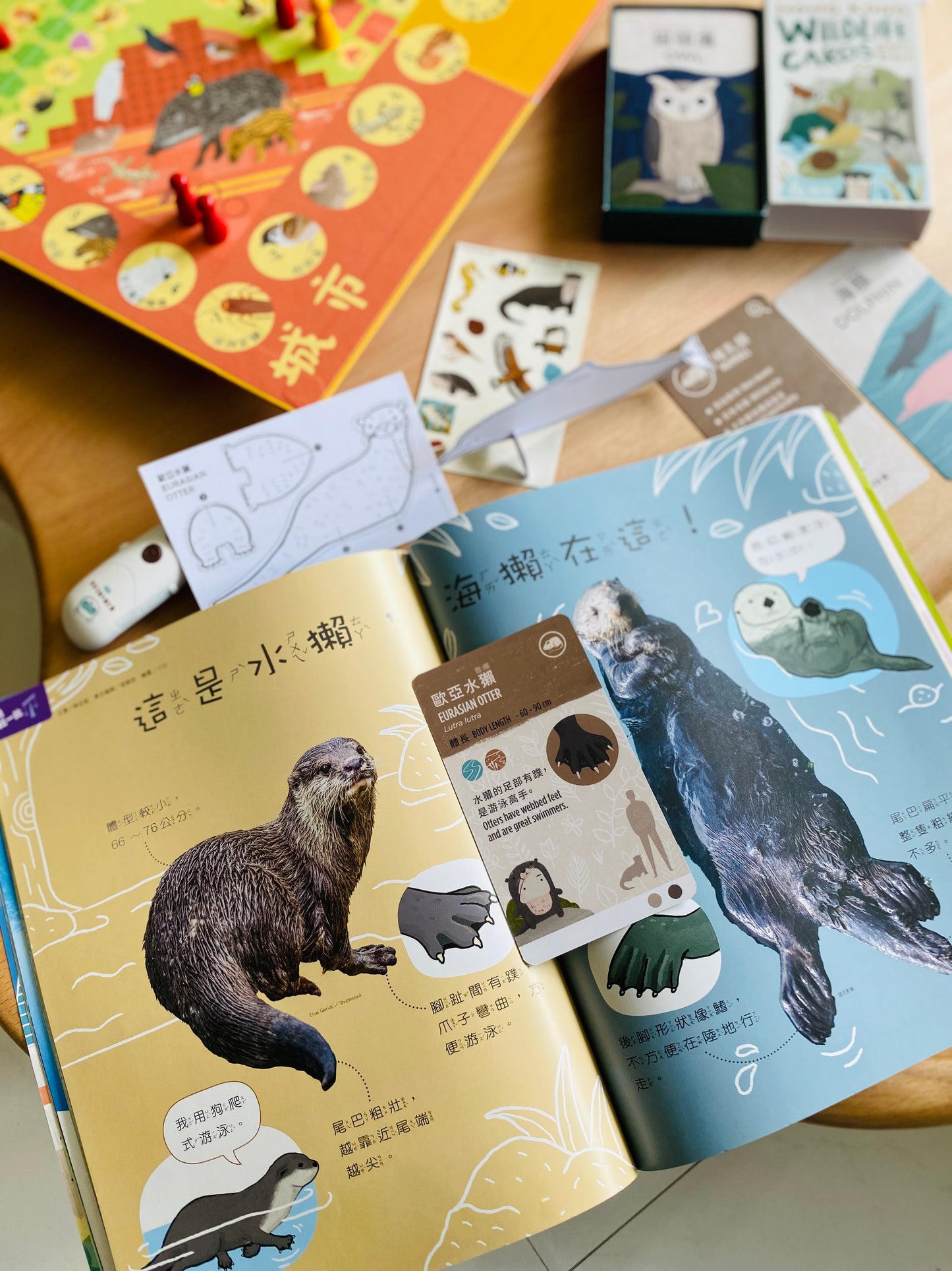 香港野生動物卡 Hong Kong Wildlife Cards（中英對照）