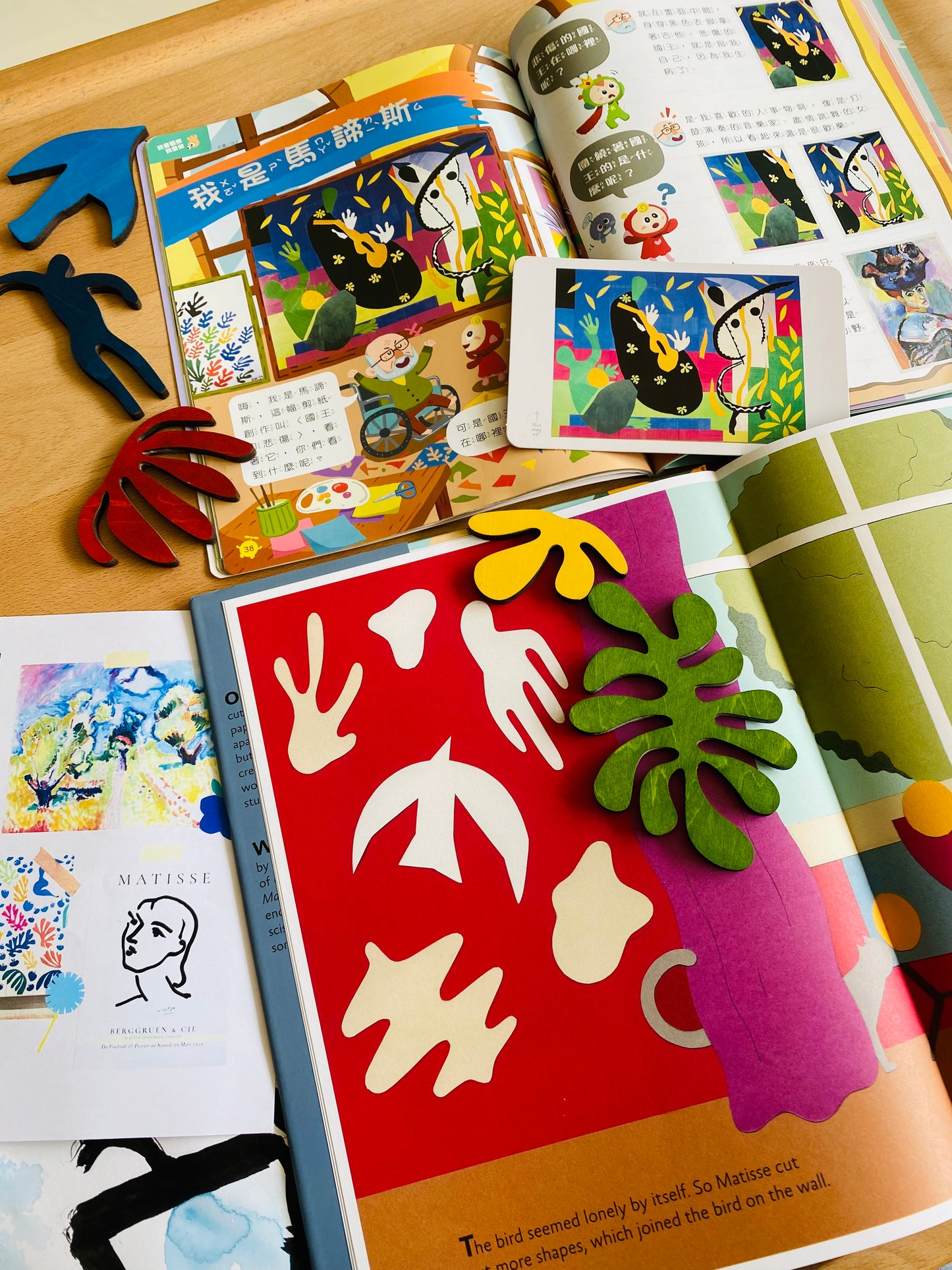 Matisse’s Garden (Hardcover)