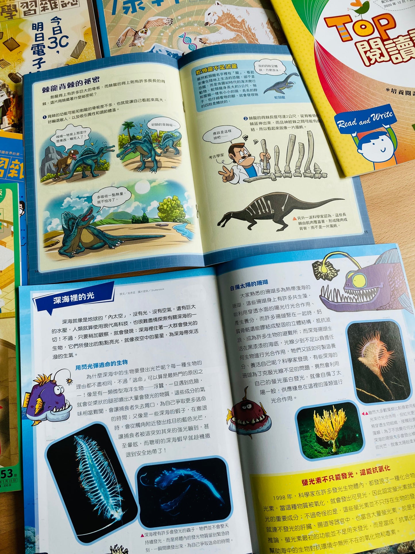 康軒學習雜誌 - 進階版