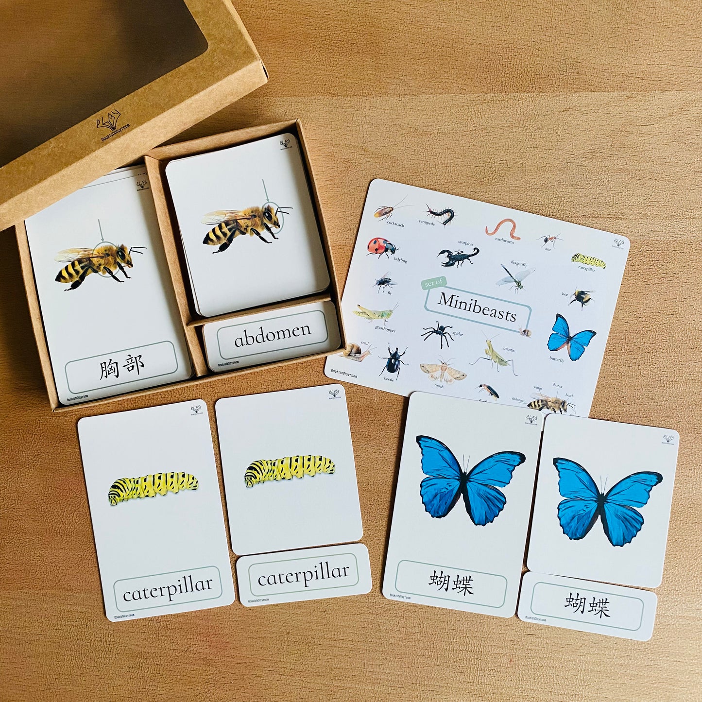 幼兒認知三部卡 （昆蟲朋友主題） 3 Part Cards (Minibeasts)