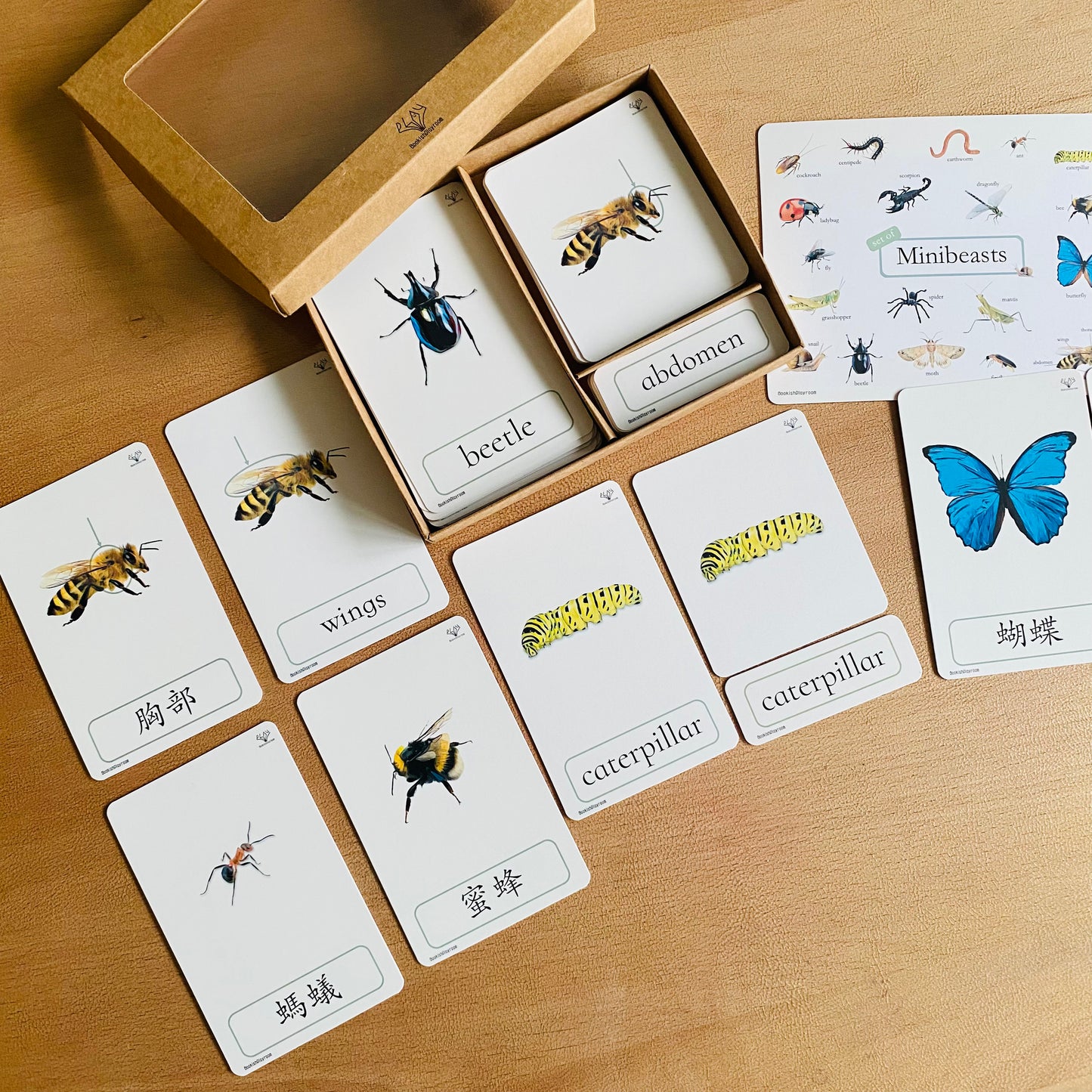 幼兒認知三部卡 （昆蟲朋友主題） 3 Part Cards (Minibeasts)