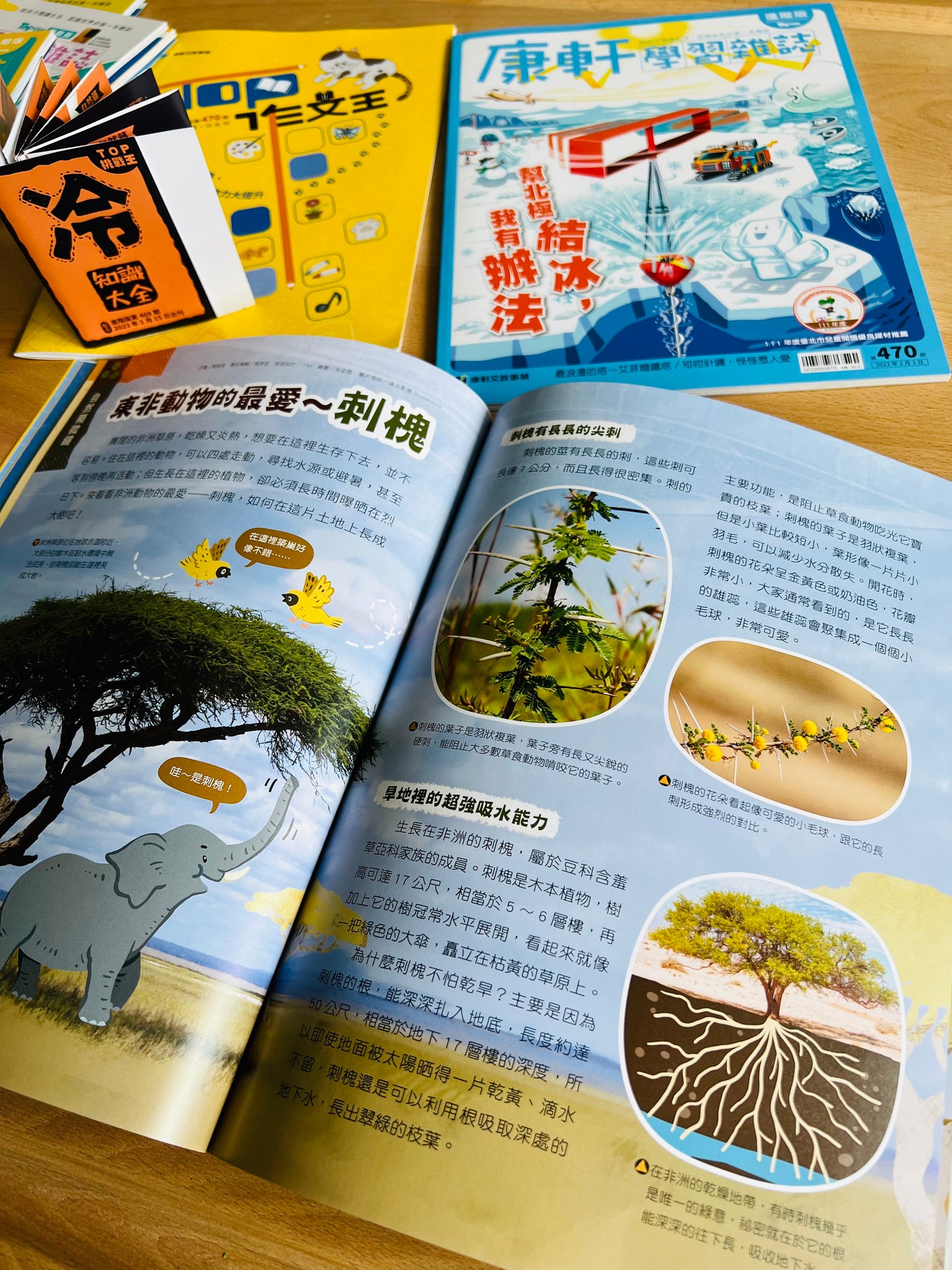 康軒學習雜誌 - 進階版 (2024年11月優惠團)