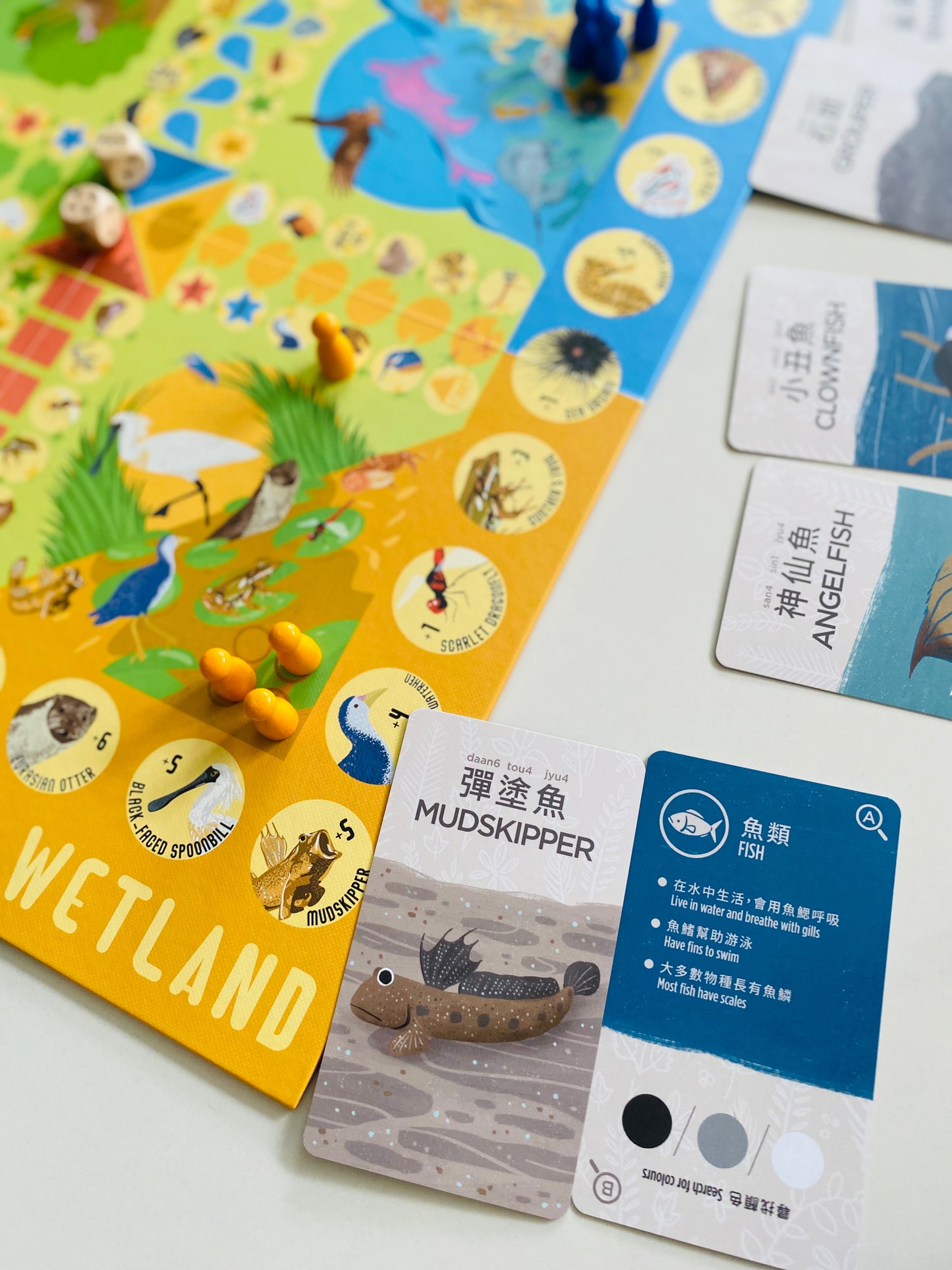 限量HK Wildlife 香港野生動物主題遊戲套組（中英對照）