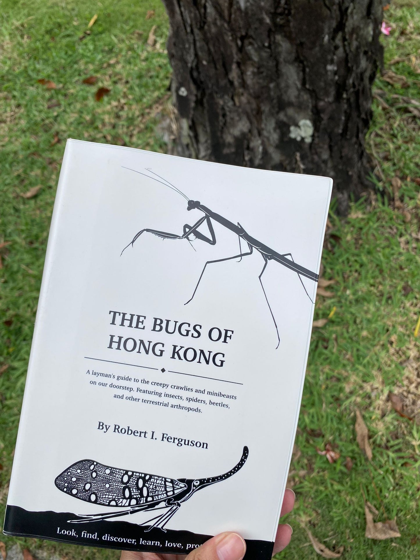 The Bugs of Hong Kong (Book)