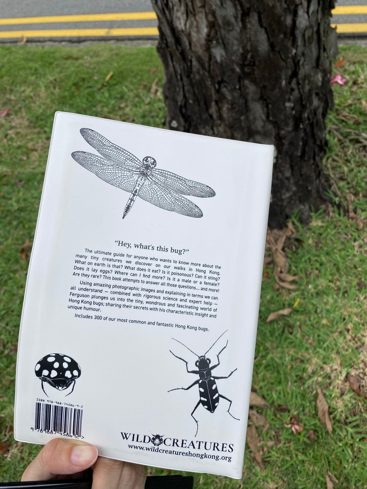 The Bugs of Hong Kong (Book)