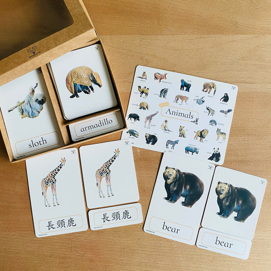 幼兒認知三部卡 （野生動物主題） 3 Part Cards (Animals)