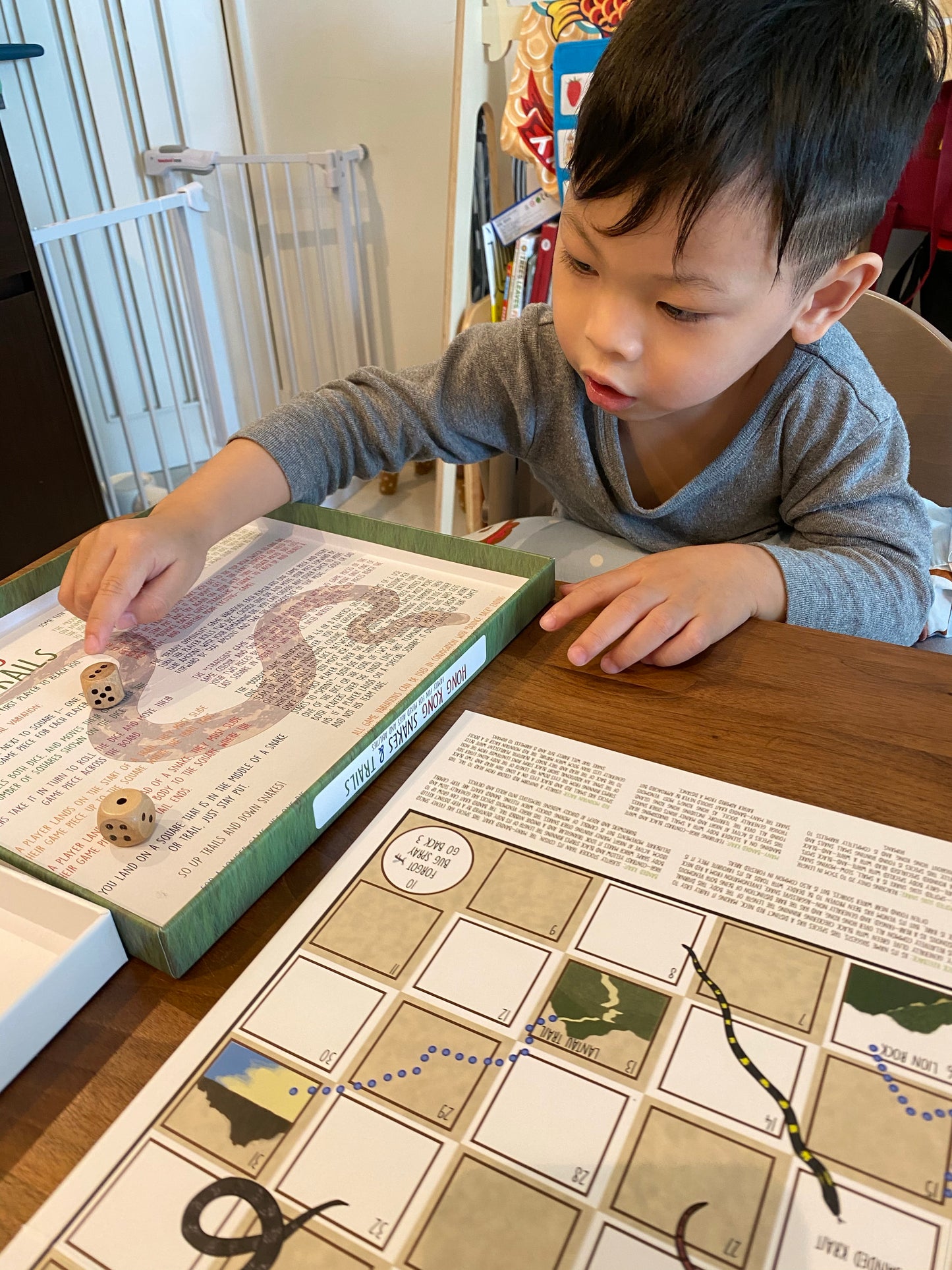 Hong Kong Snakes & Trails Board game (Bilingual)