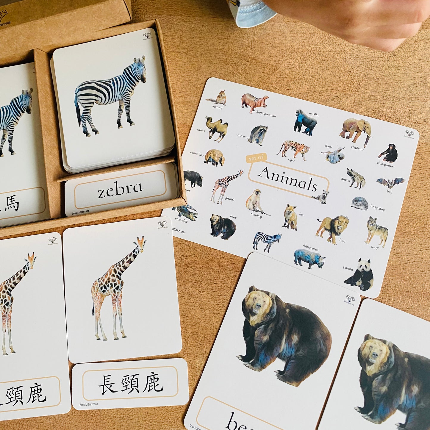 幼兒認知三部卡 （野生動物主題） 3 Part Cards (Animals)