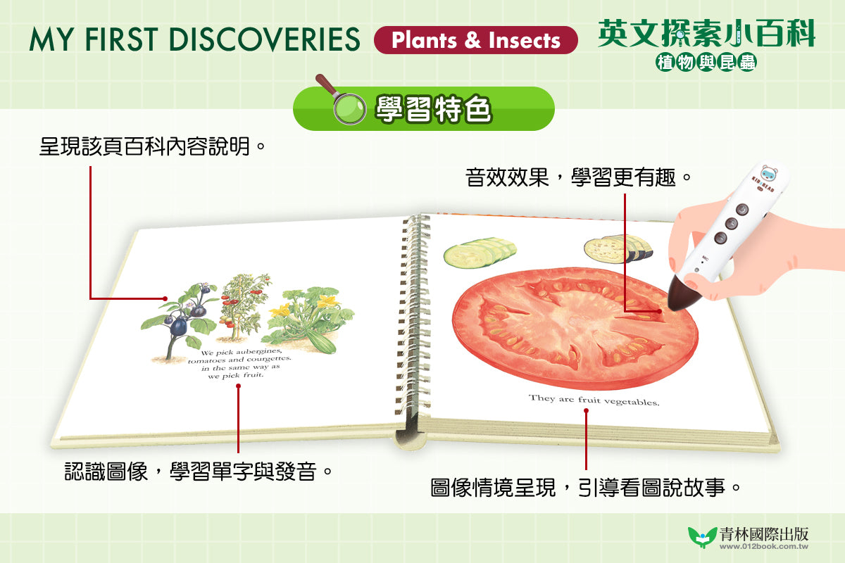 My First Discoveries 英文探索小百科 第三輯 : 植物與昆蟲