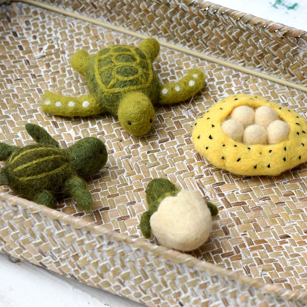 Felt Lifecycle of Green Sea Turtle