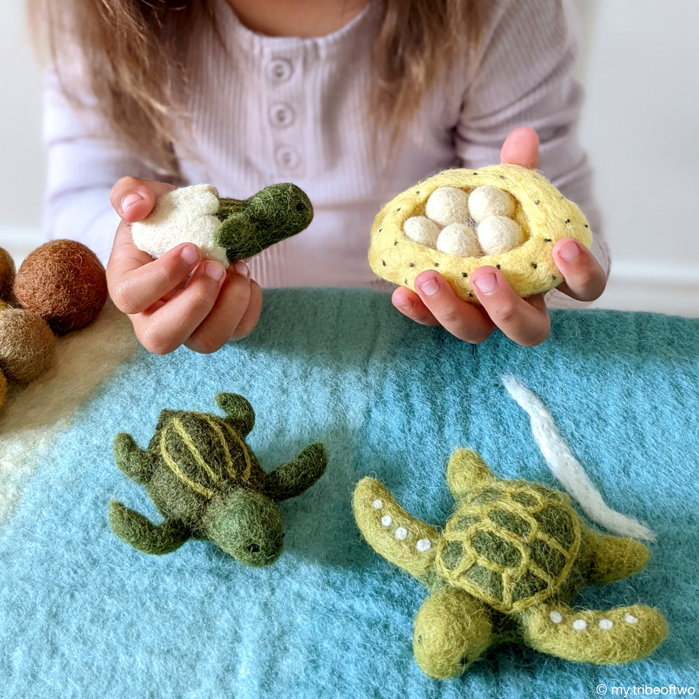 Felt Lifecycle of Green Sea Turtle